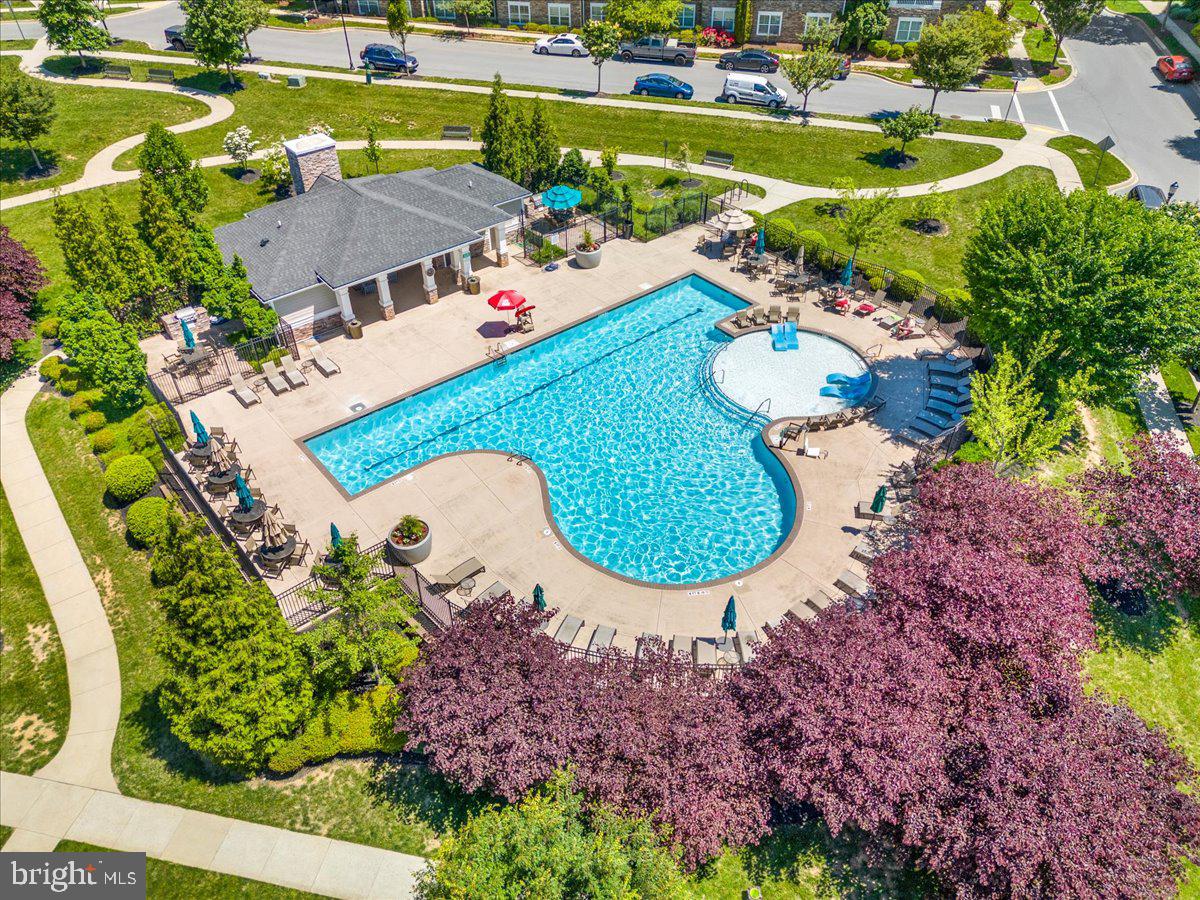 MARKET SQUARE - Residential Lease