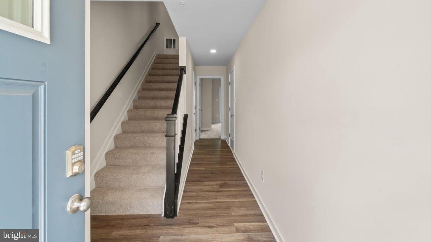 142 SOFT RUSH LANE