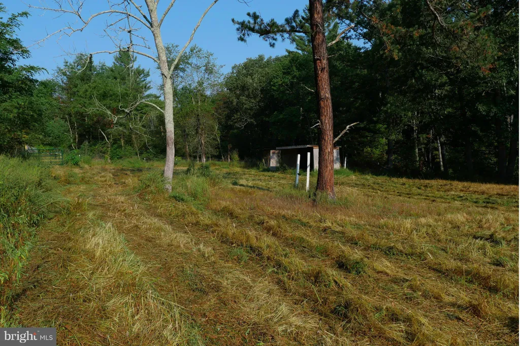 Happy Valley Road, Orkney Springs, VA 22845