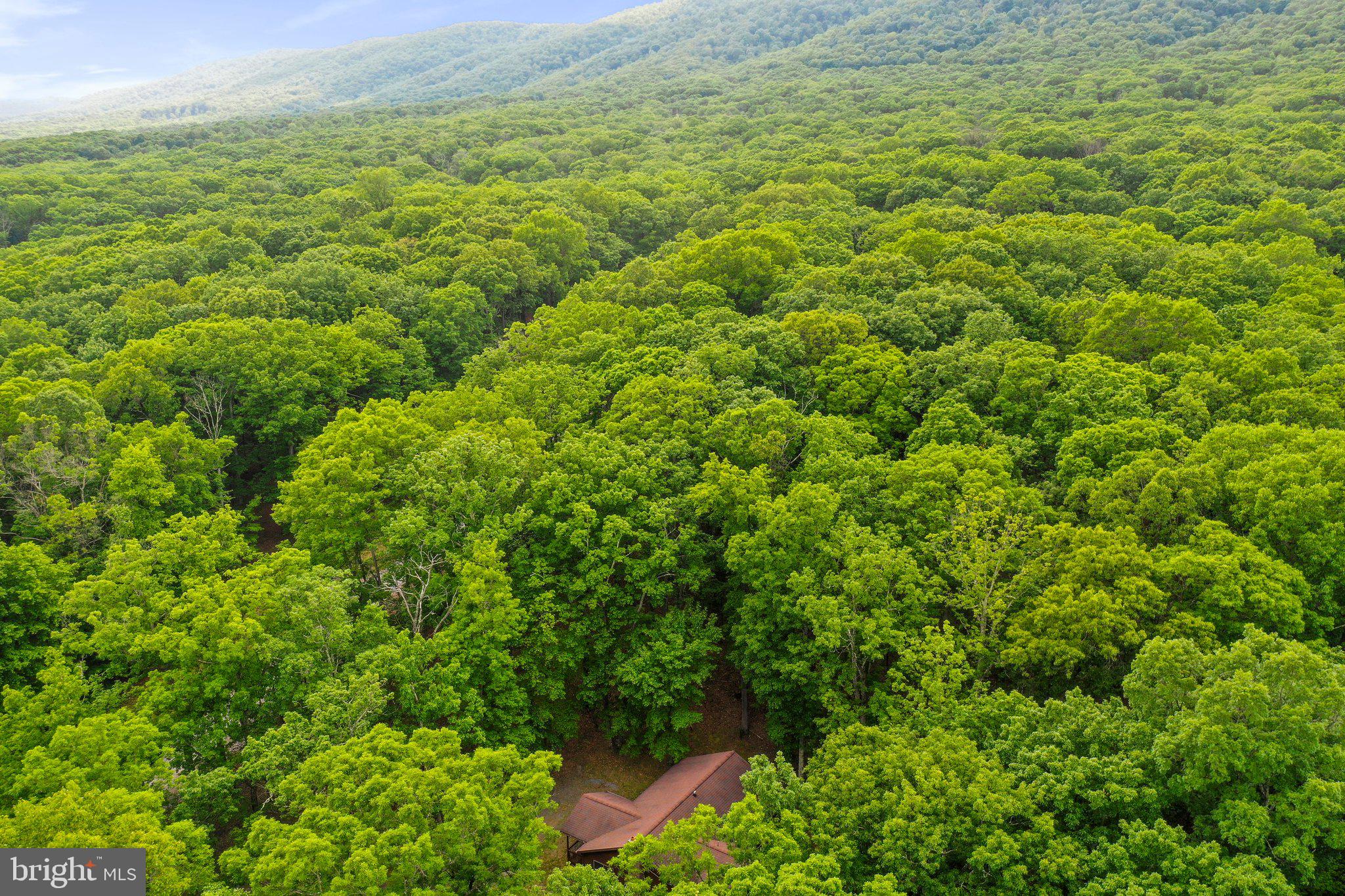 RIVER RIDGE SUBDIVISION - Residential