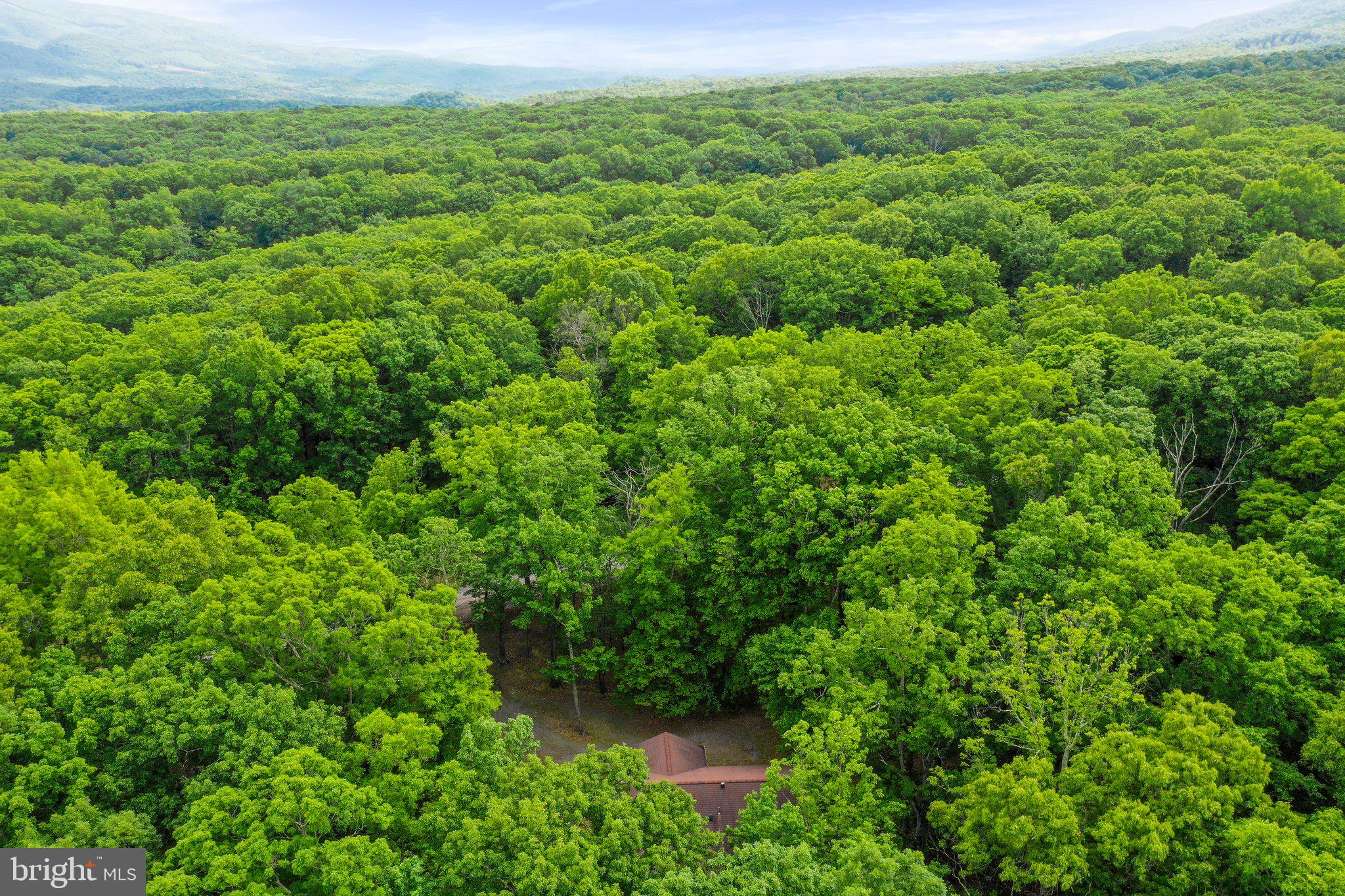 RIVER RIDGE SUBDIVISION - Residential