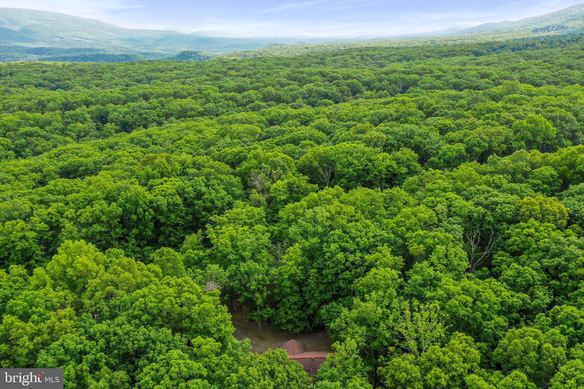 RIVER RIDGE SUBDIVISION - Residential