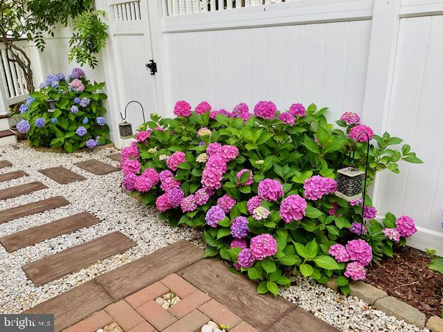 CABIN BRANCH - Residential