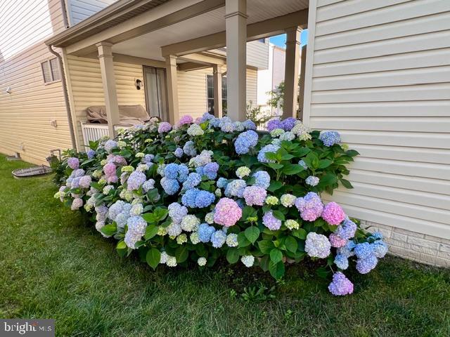 CABIN BRANCH - Residential