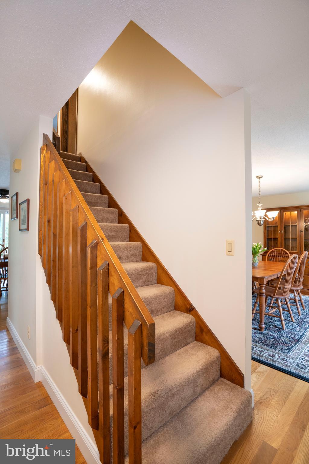 PARK FOREST VILLAGE - Residential