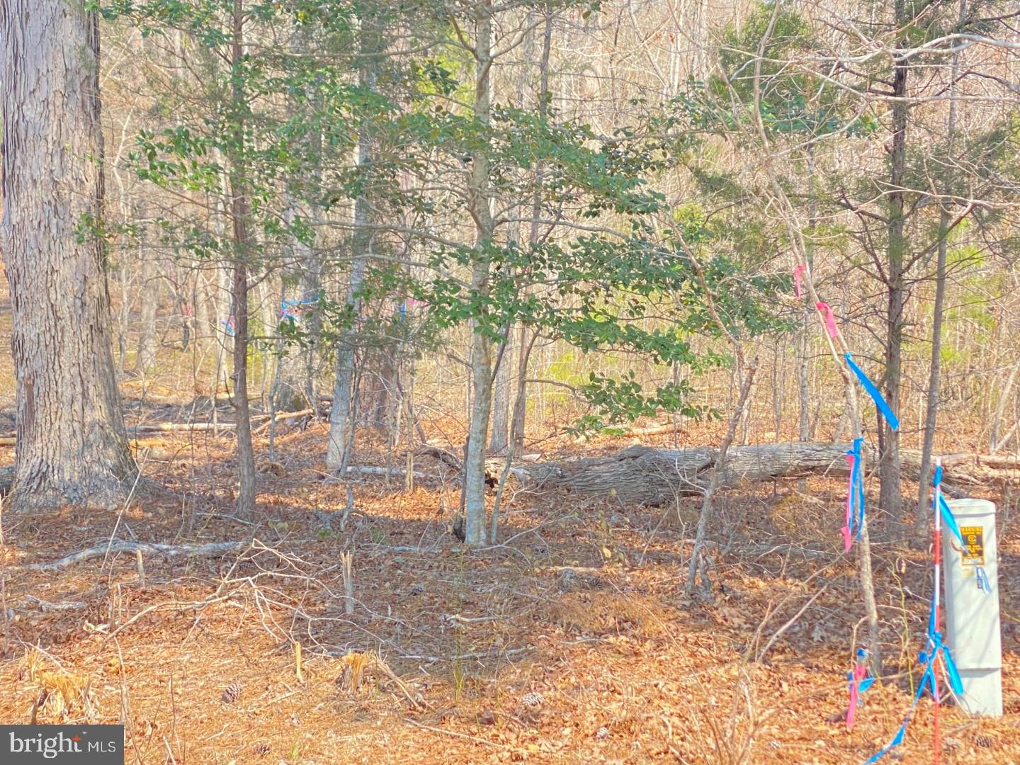 TBD CHALK LEVEL ROAD 0 1