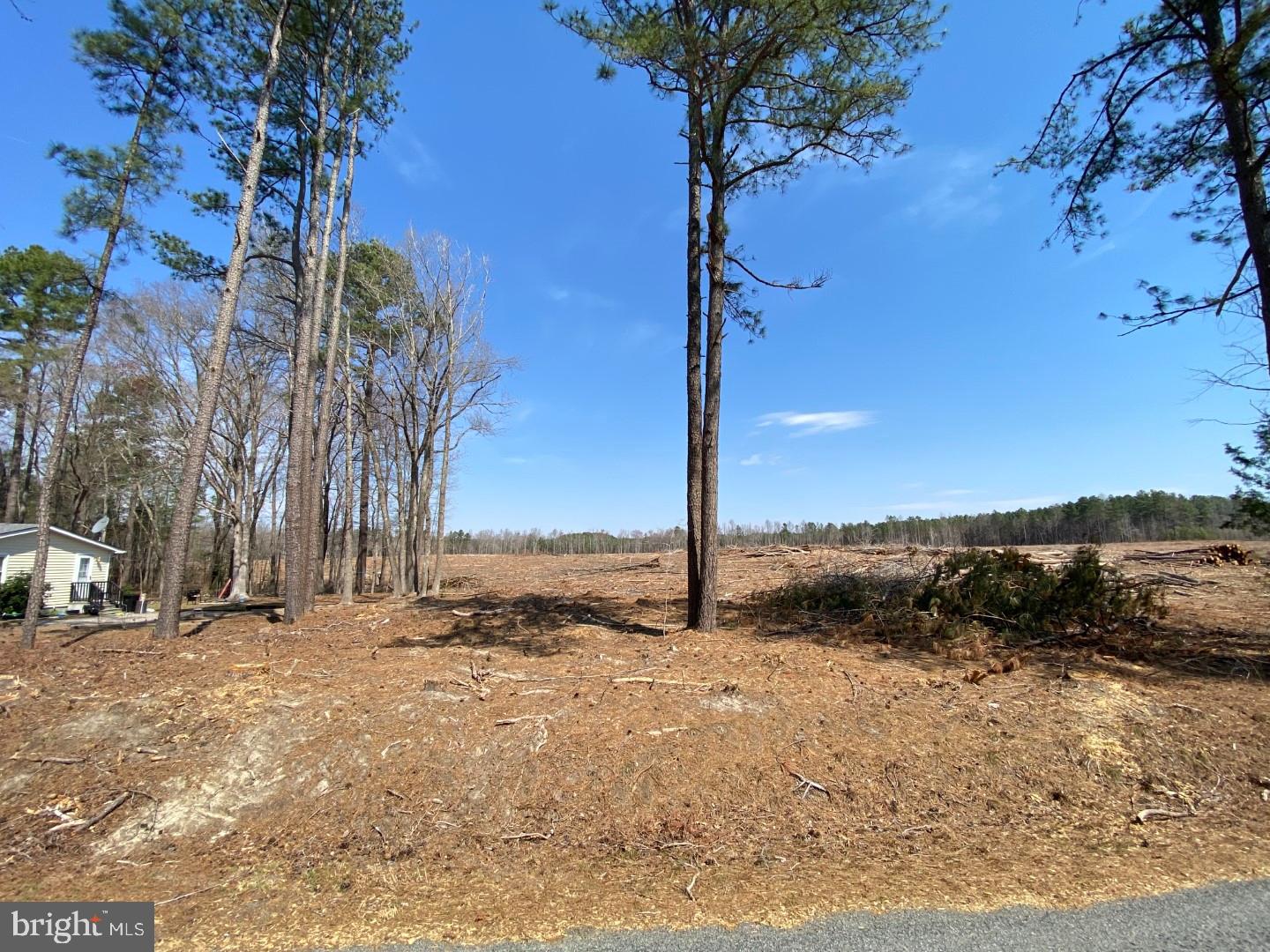 TBD CHALK LEVEL ROAD 0 1