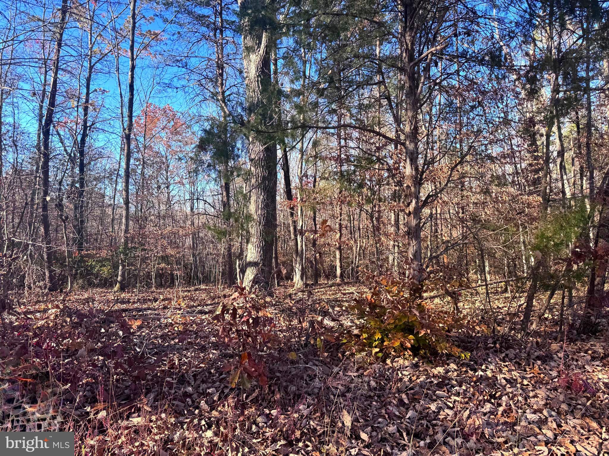 0 MAIN UNO BAPTIST CHURCH LANE LOT A