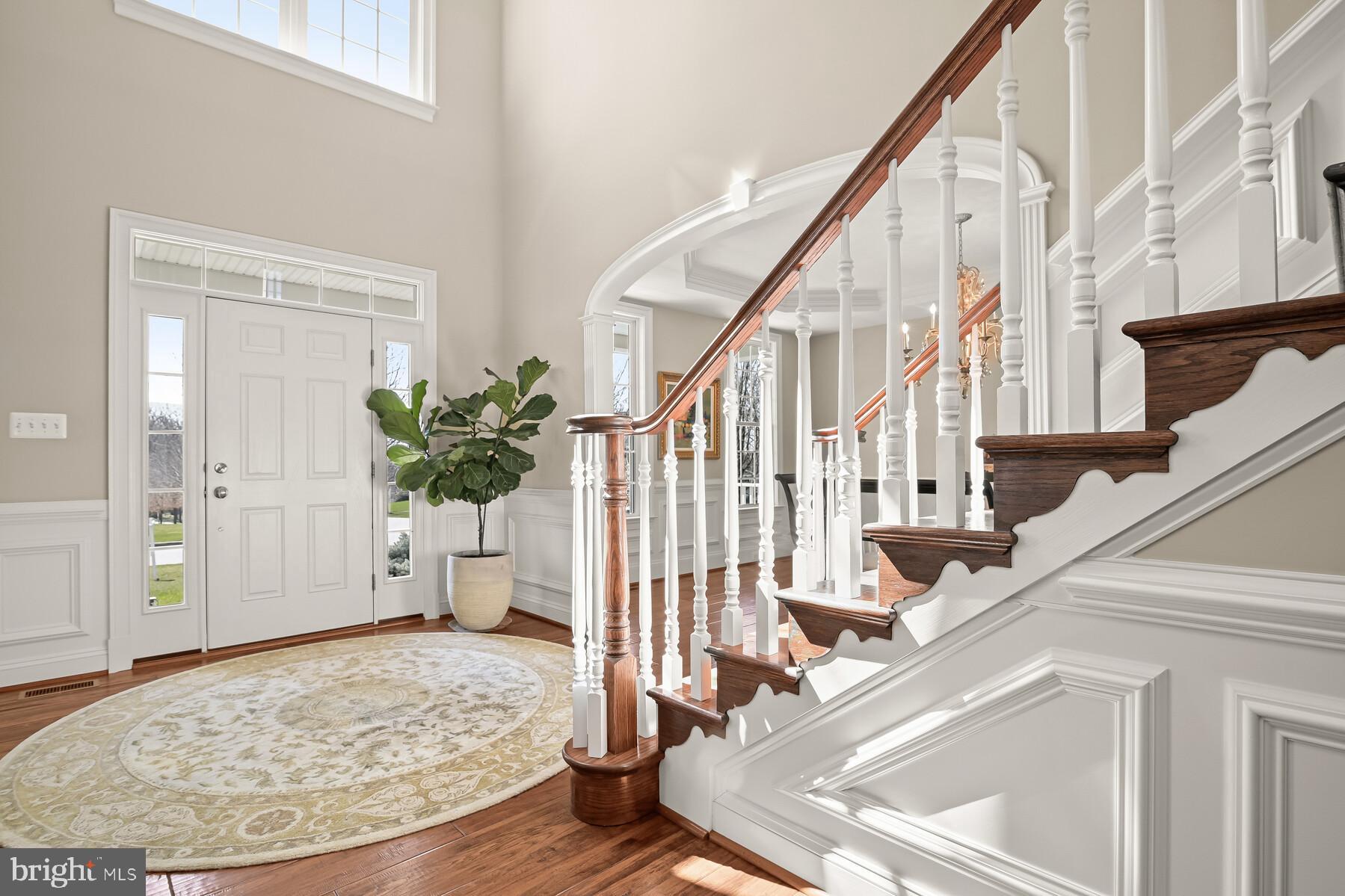 CLOVERFIELD - Residential