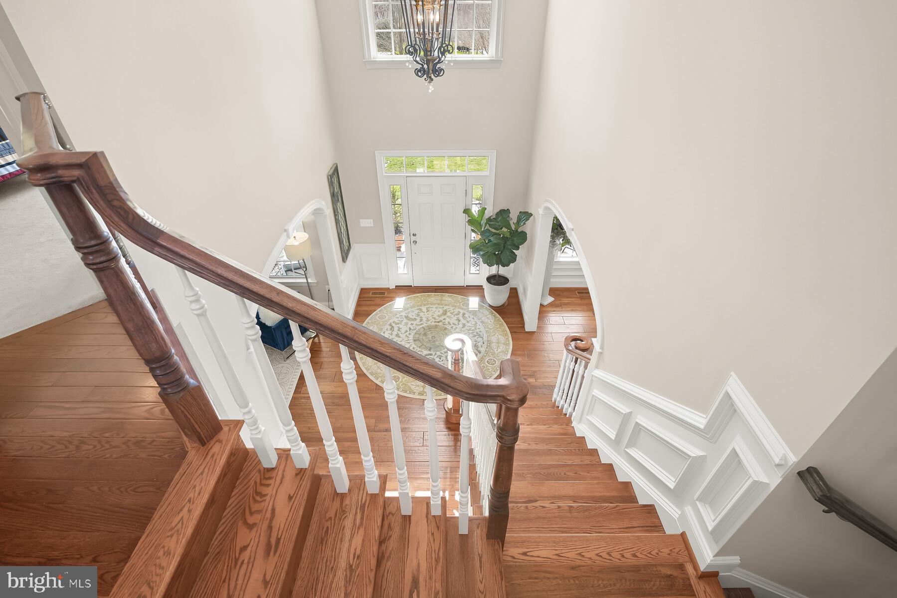 CLOVERFIELD - Residential