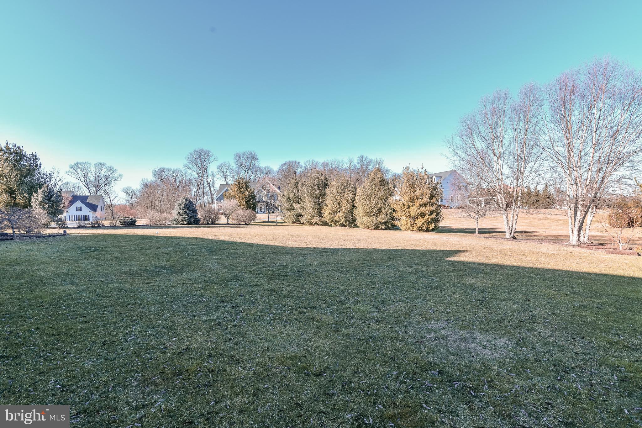 CLOVERFIELD - Residential