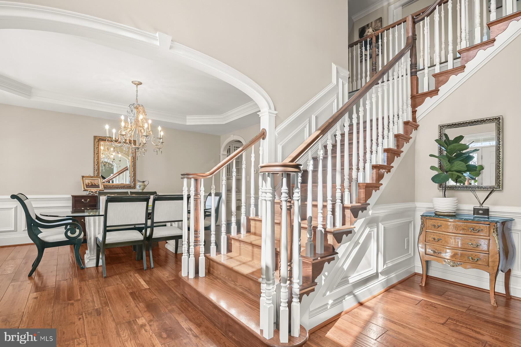 CLOVERFIELD - Residential