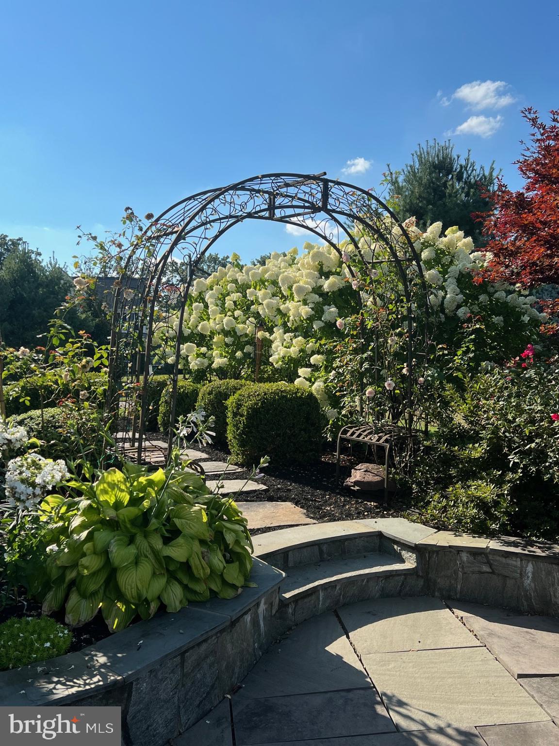 CLOVERFIELD - Residential