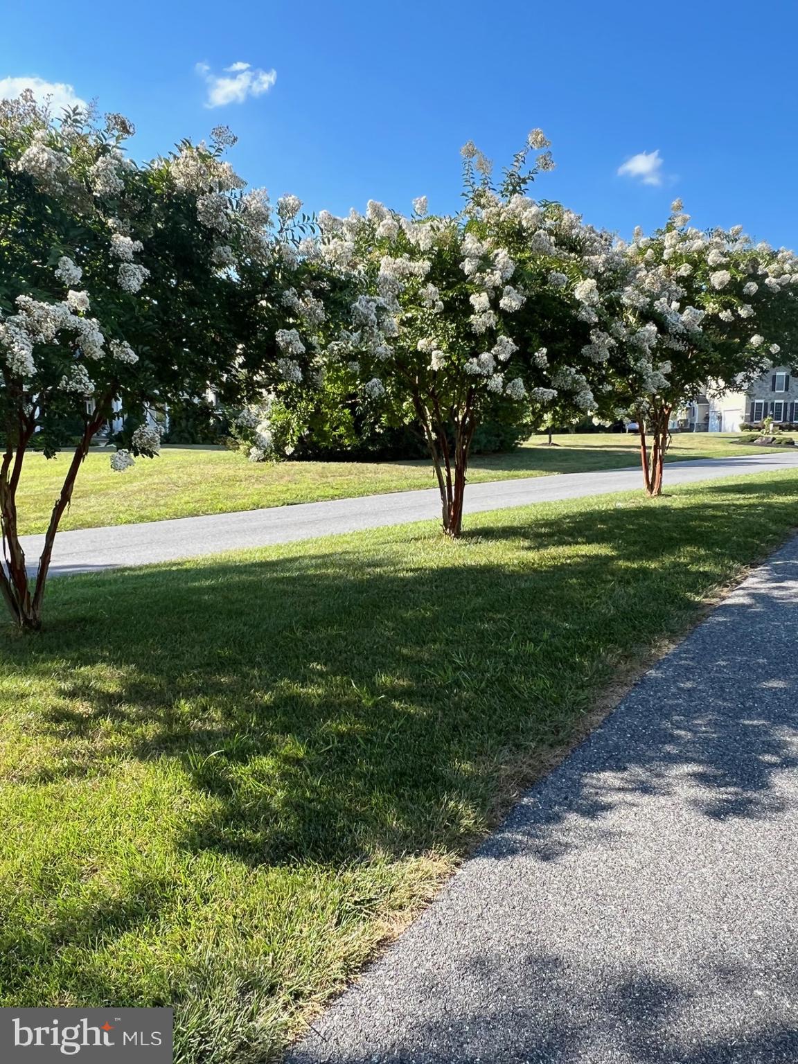 CLOVERFIELD - Residential