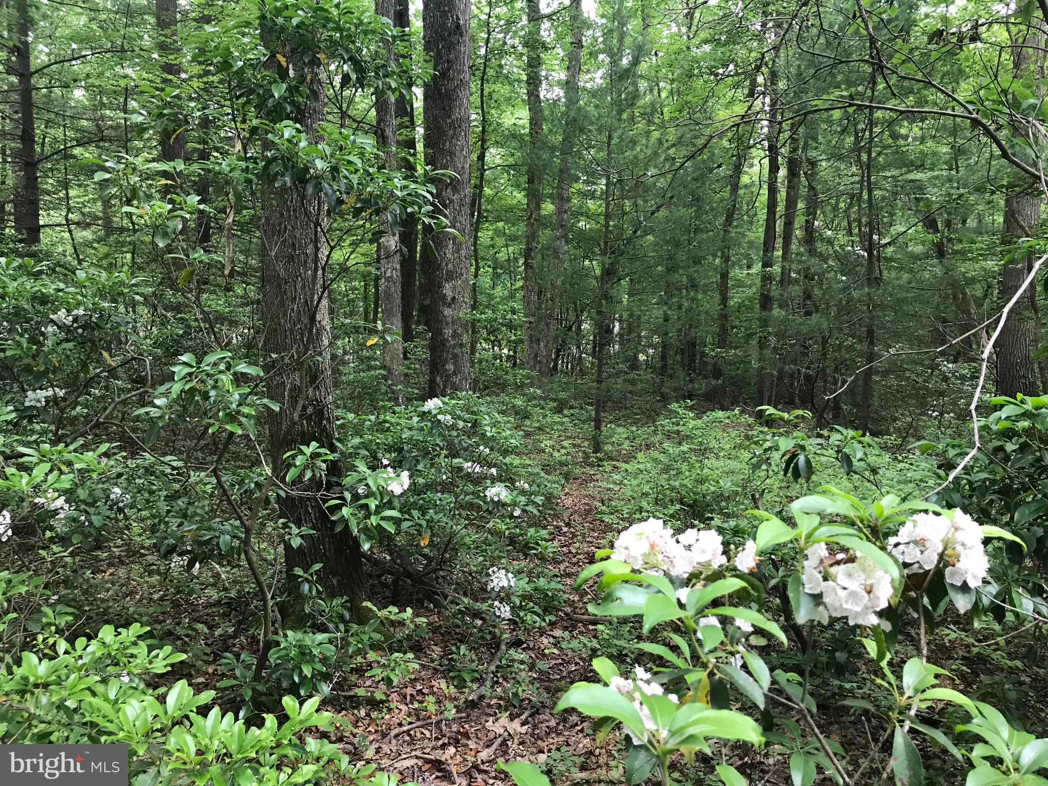 GETTYSBURG CAMPING & HUNTING CLUB - Residential