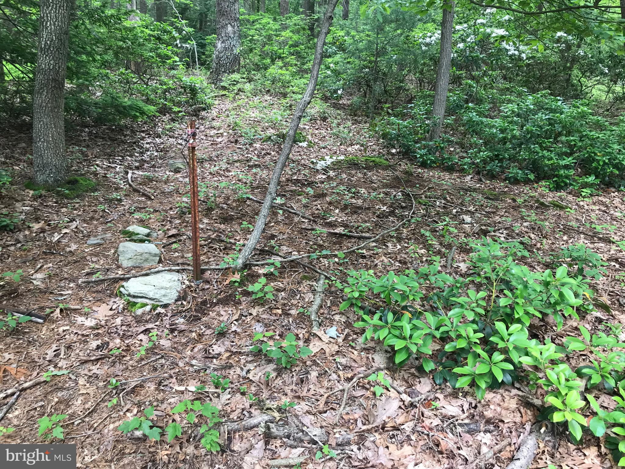 GETTYSBURG CAMPING & HUNTING CLUB - Residential