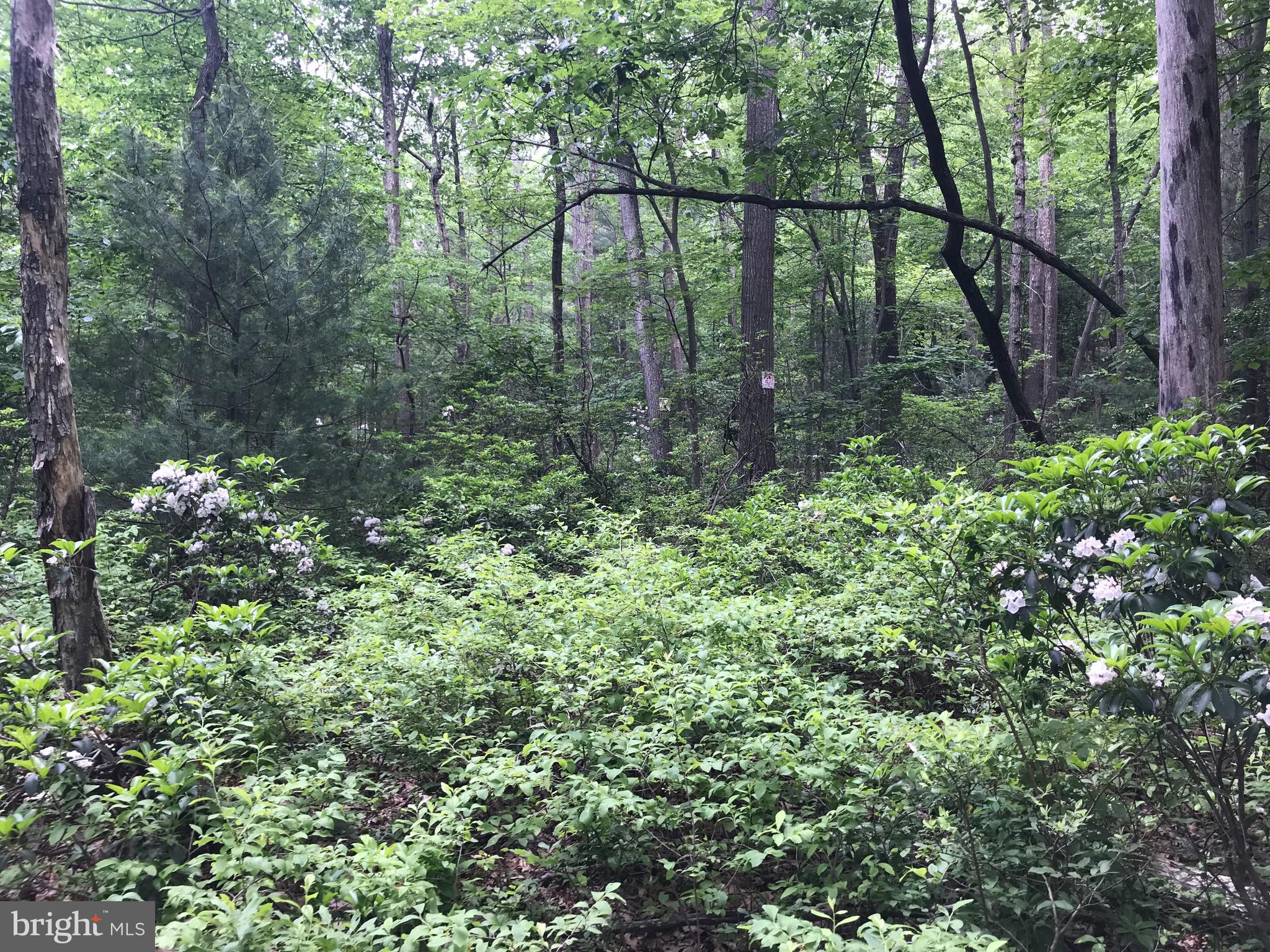 GETTYSBURG CAMPING & HUNTING CLUB - Residential