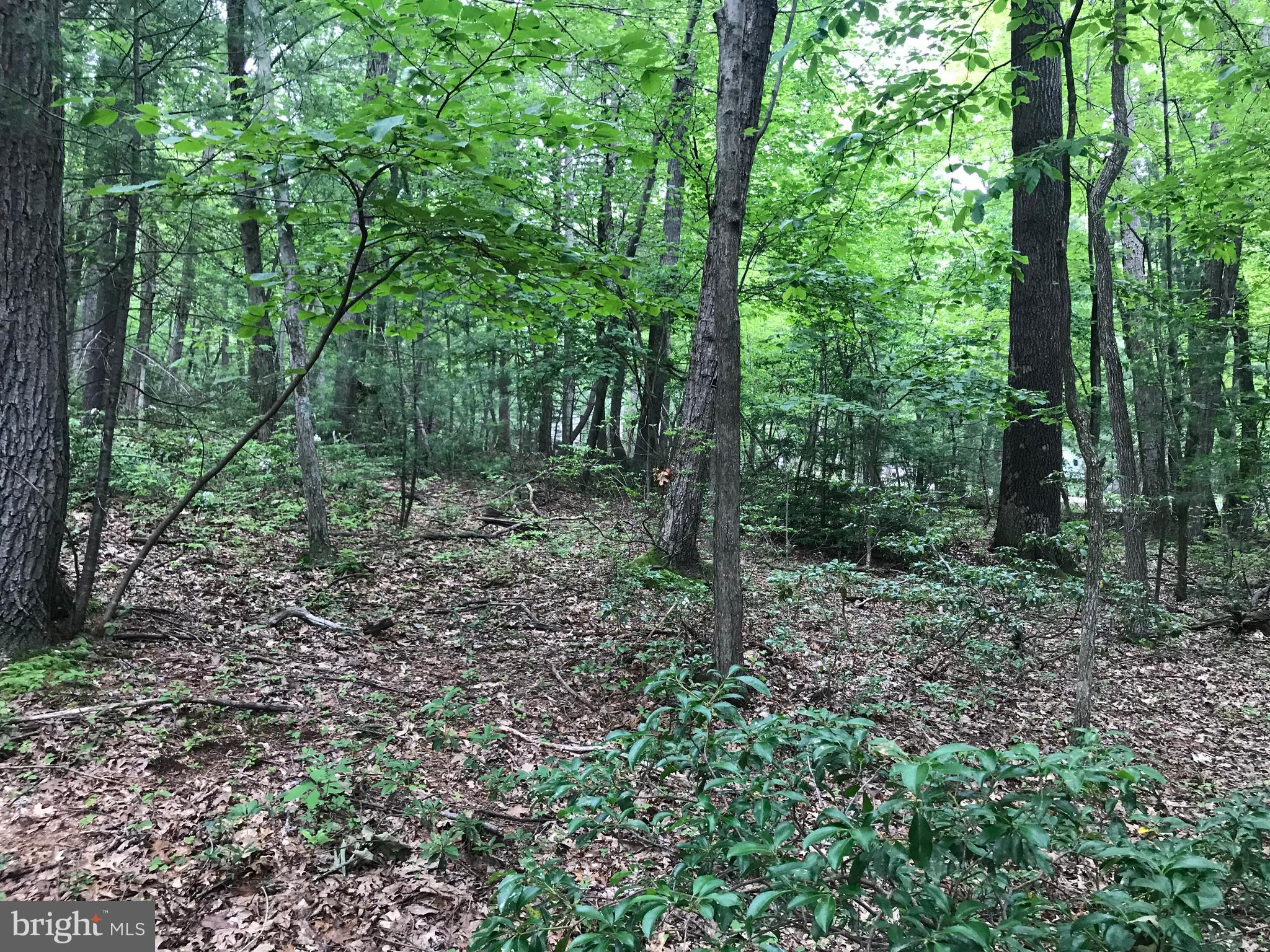 GETTYSBURG CAMPING & HUNTING CLUB - Residential