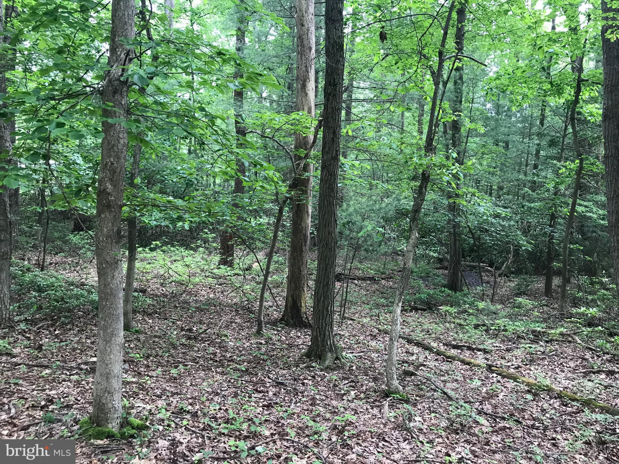 GETTYSBURG CAMPING & HUNTING CLUB - Residential