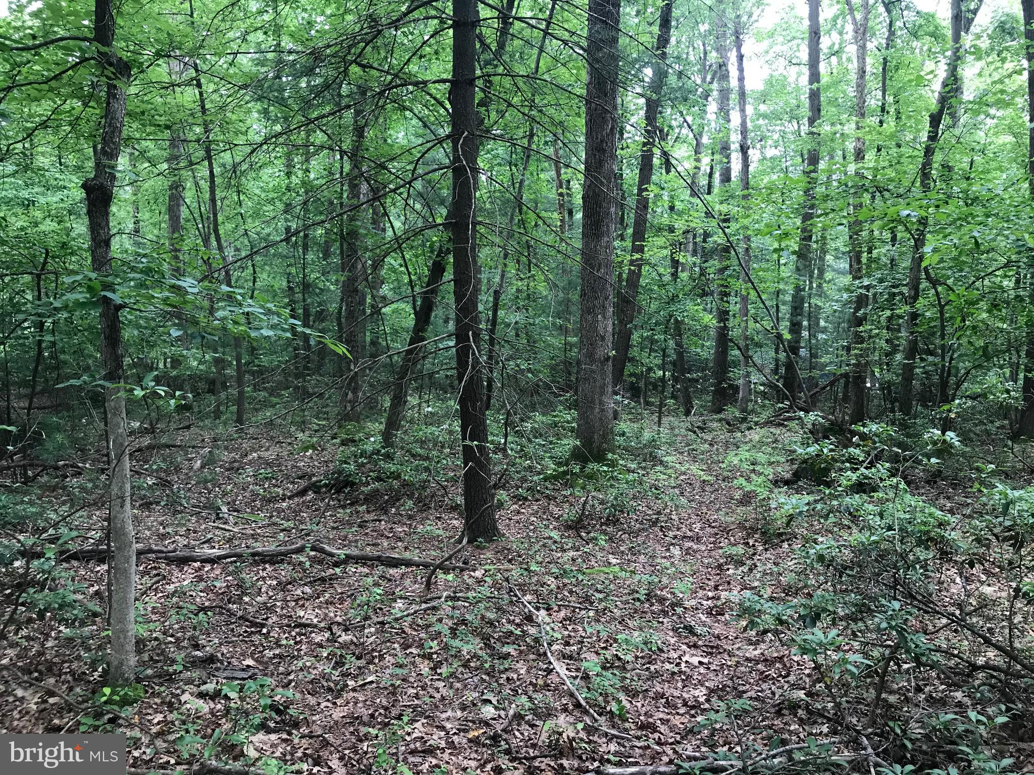 GETTYSBURG CAMPING & HUNTING CLUB - Residential