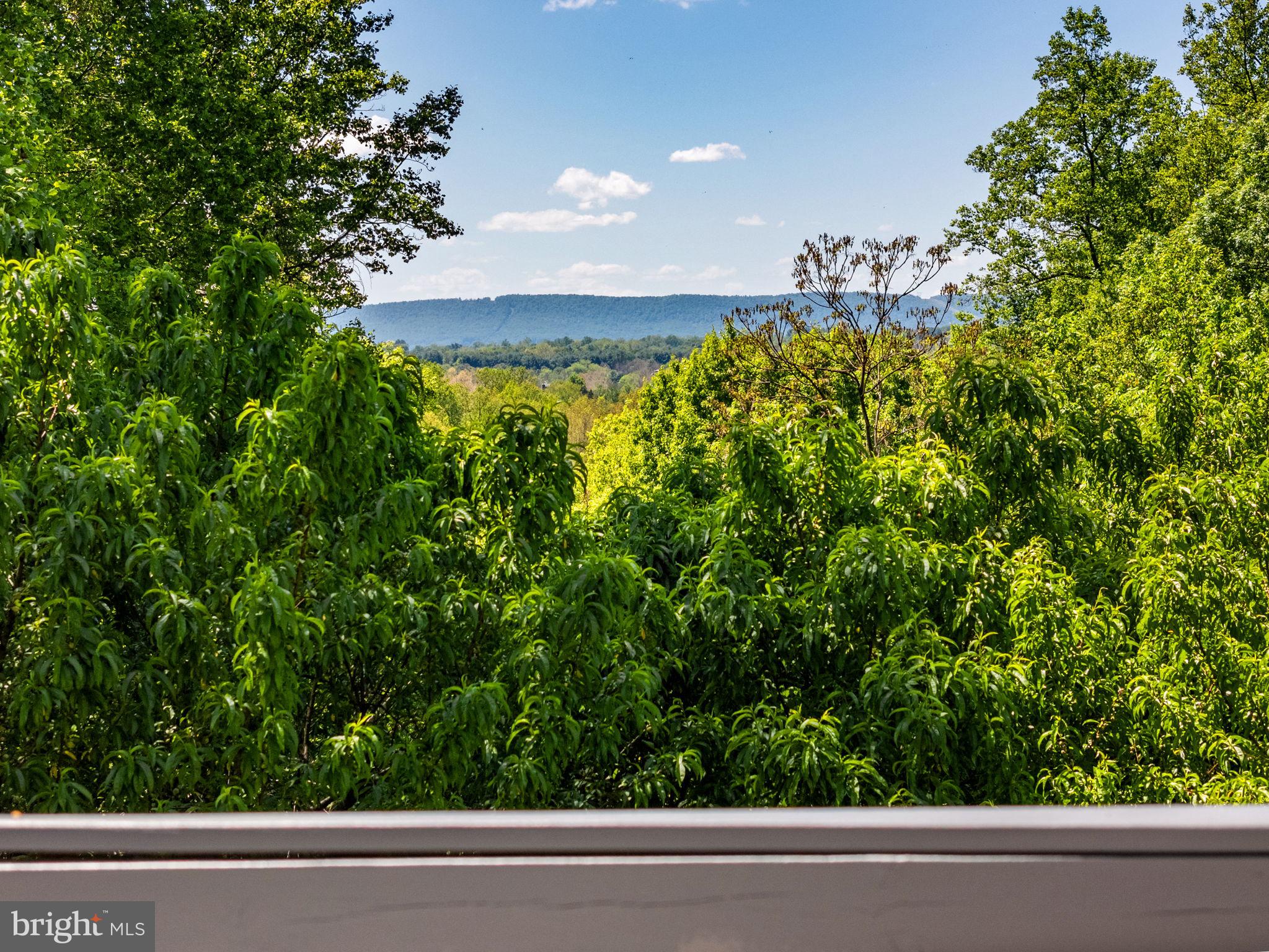 CATOCTIN MT - Residential