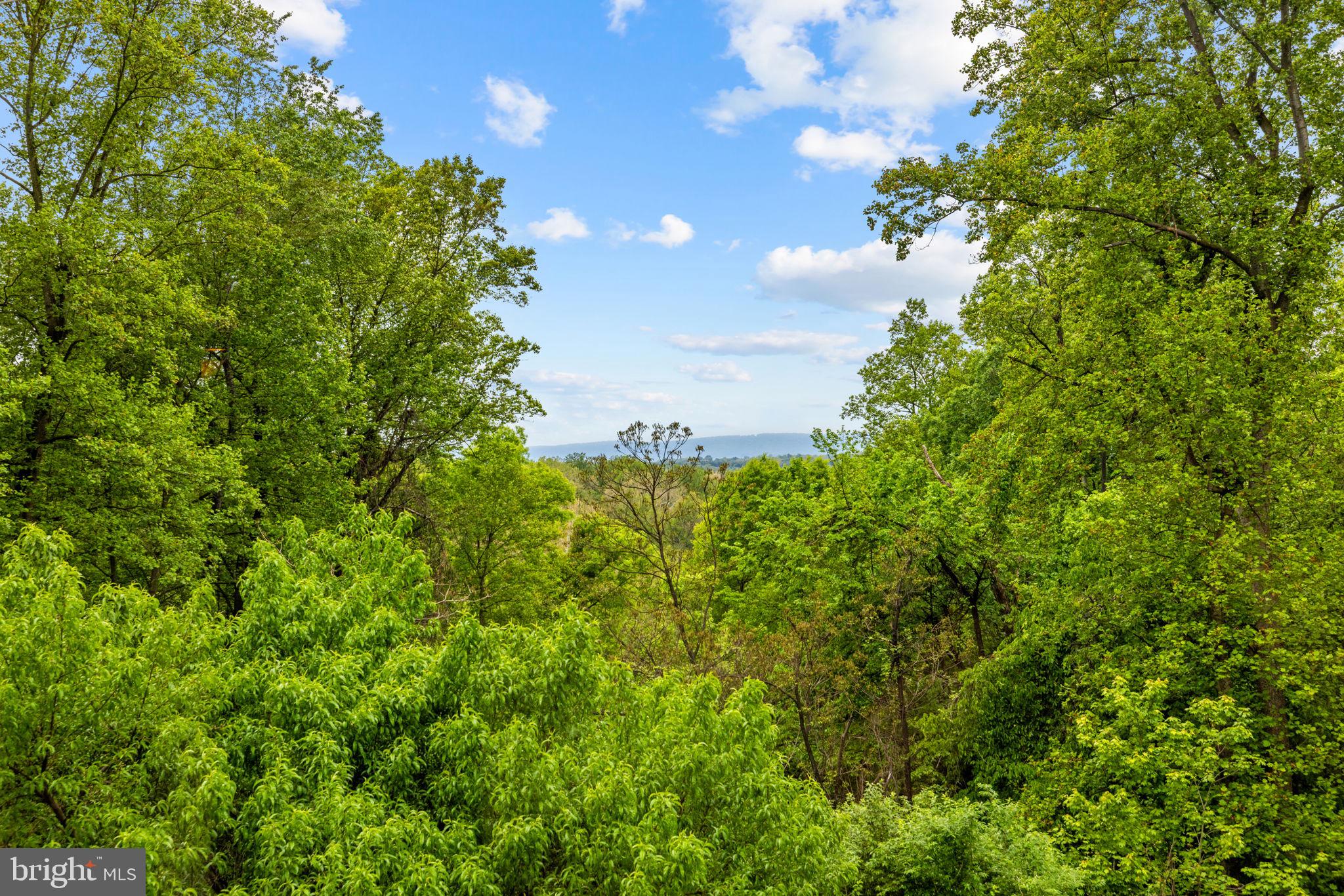 CATOCTIN MT - Residential