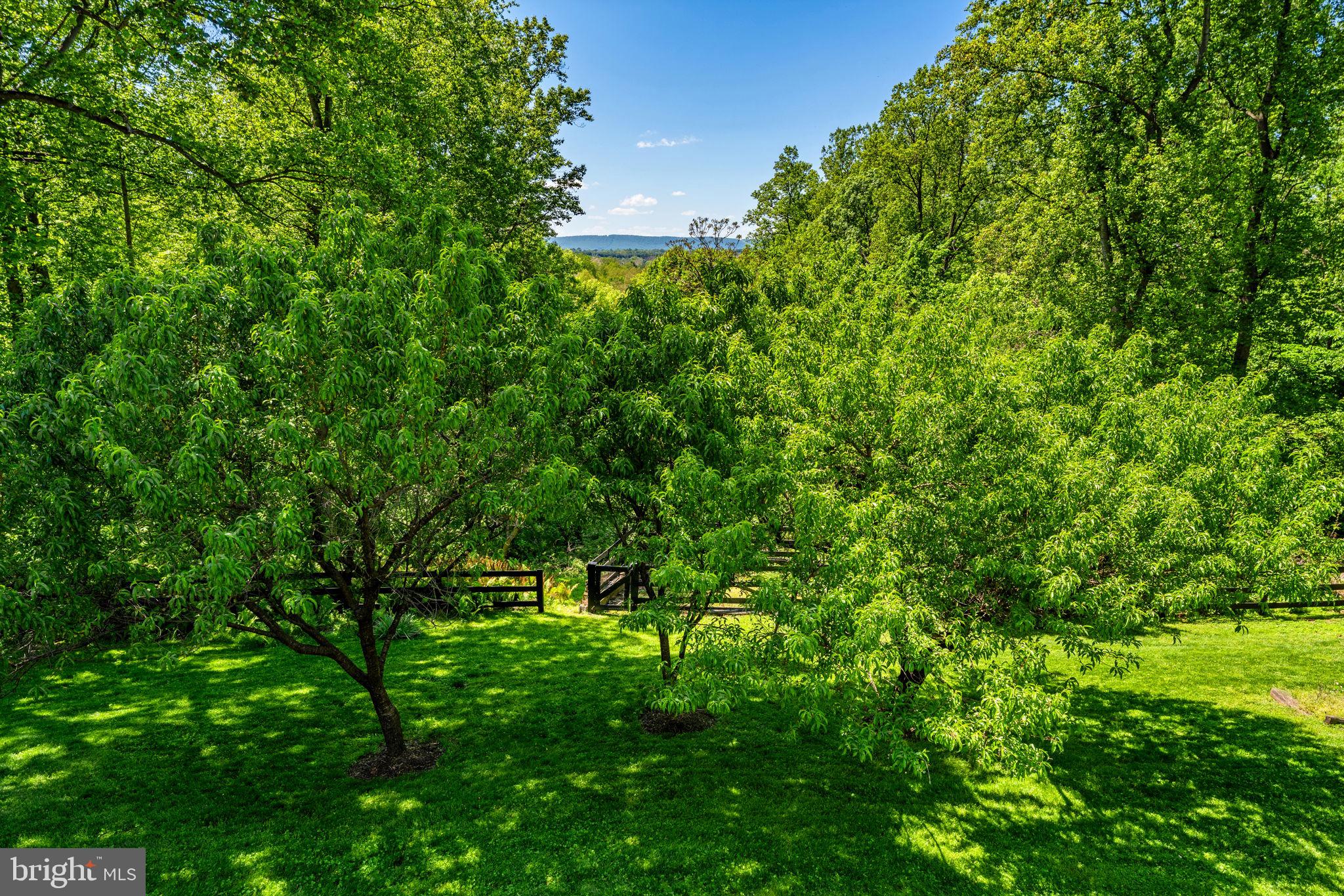CATOCTIN MT - Residential