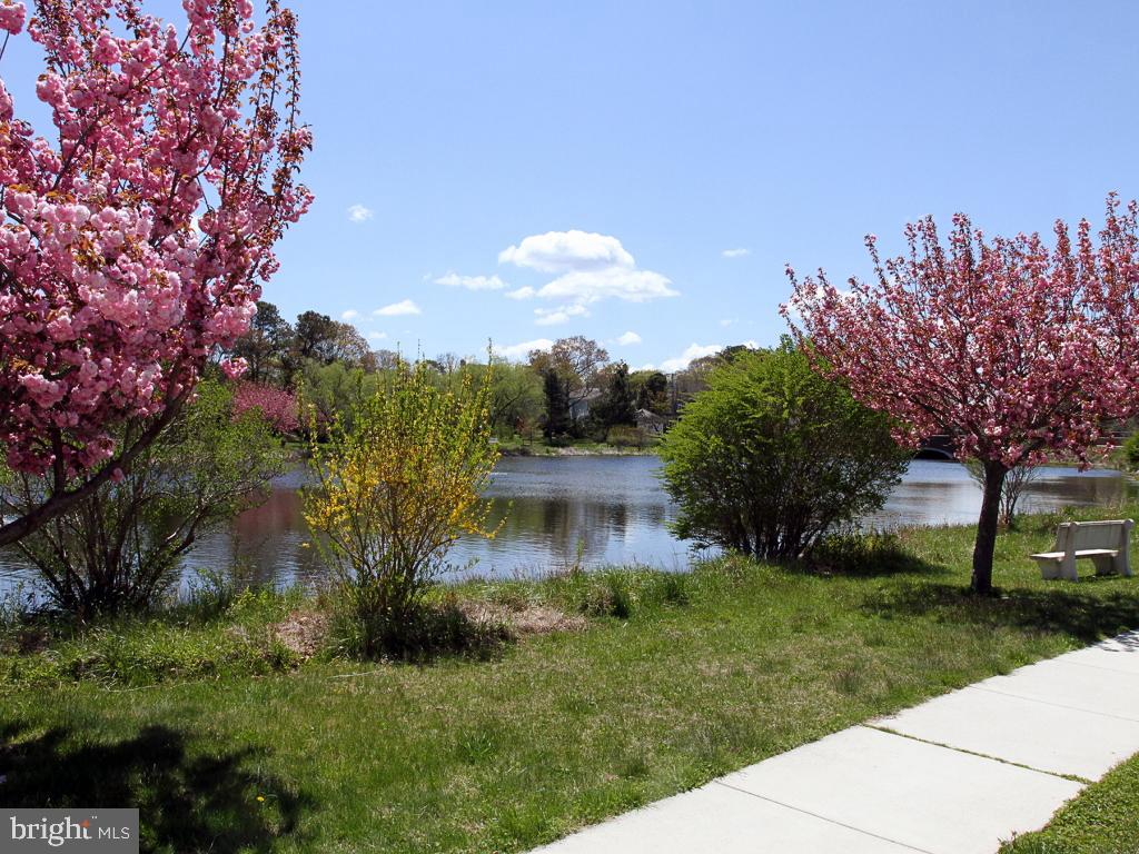 NORTH REHOBOTH - Residential