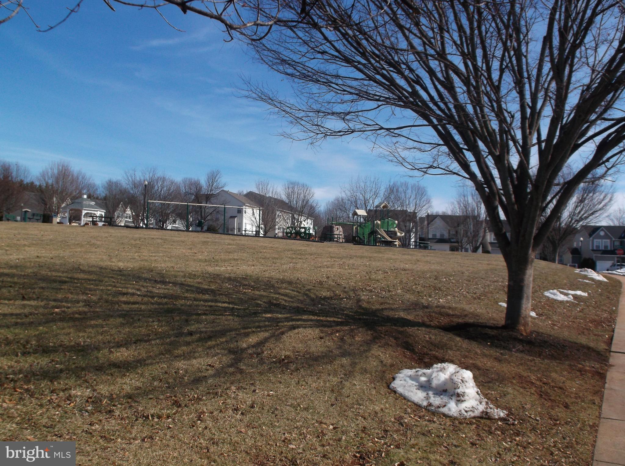MEADOWS OF CULPEPER - Residential