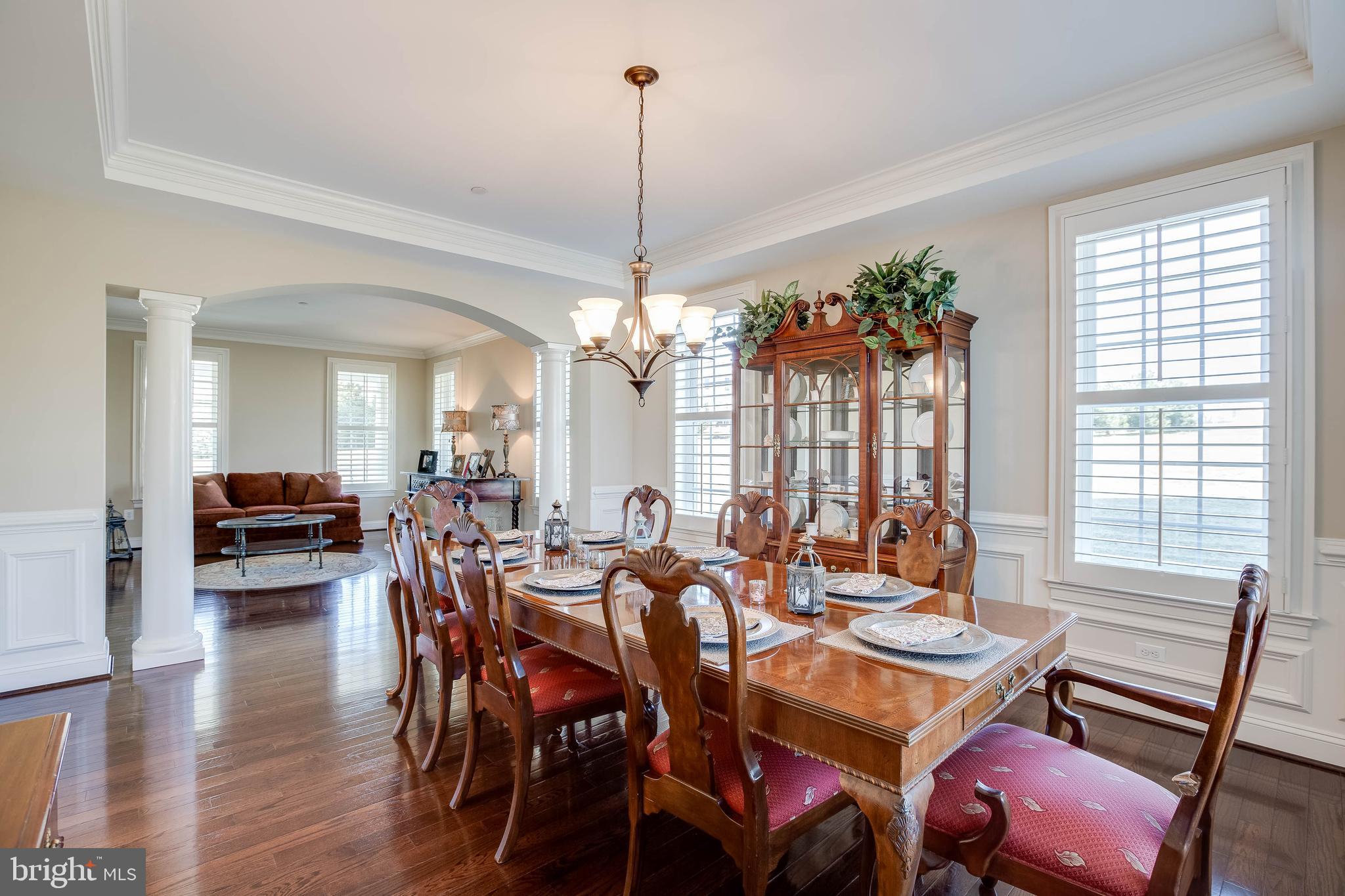 CLOVERFIELD - Residential