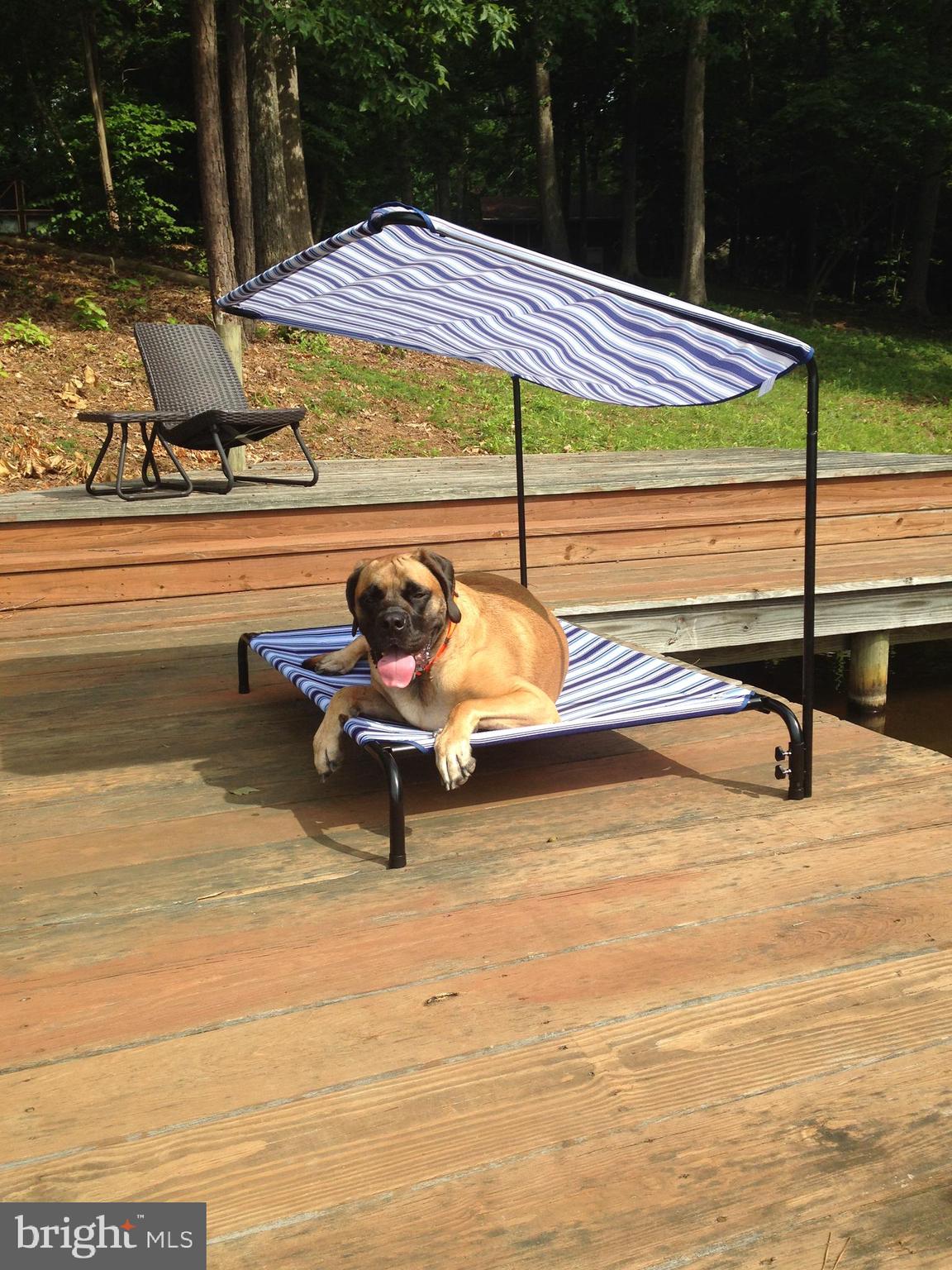 LAKE CAROLINE - Residential