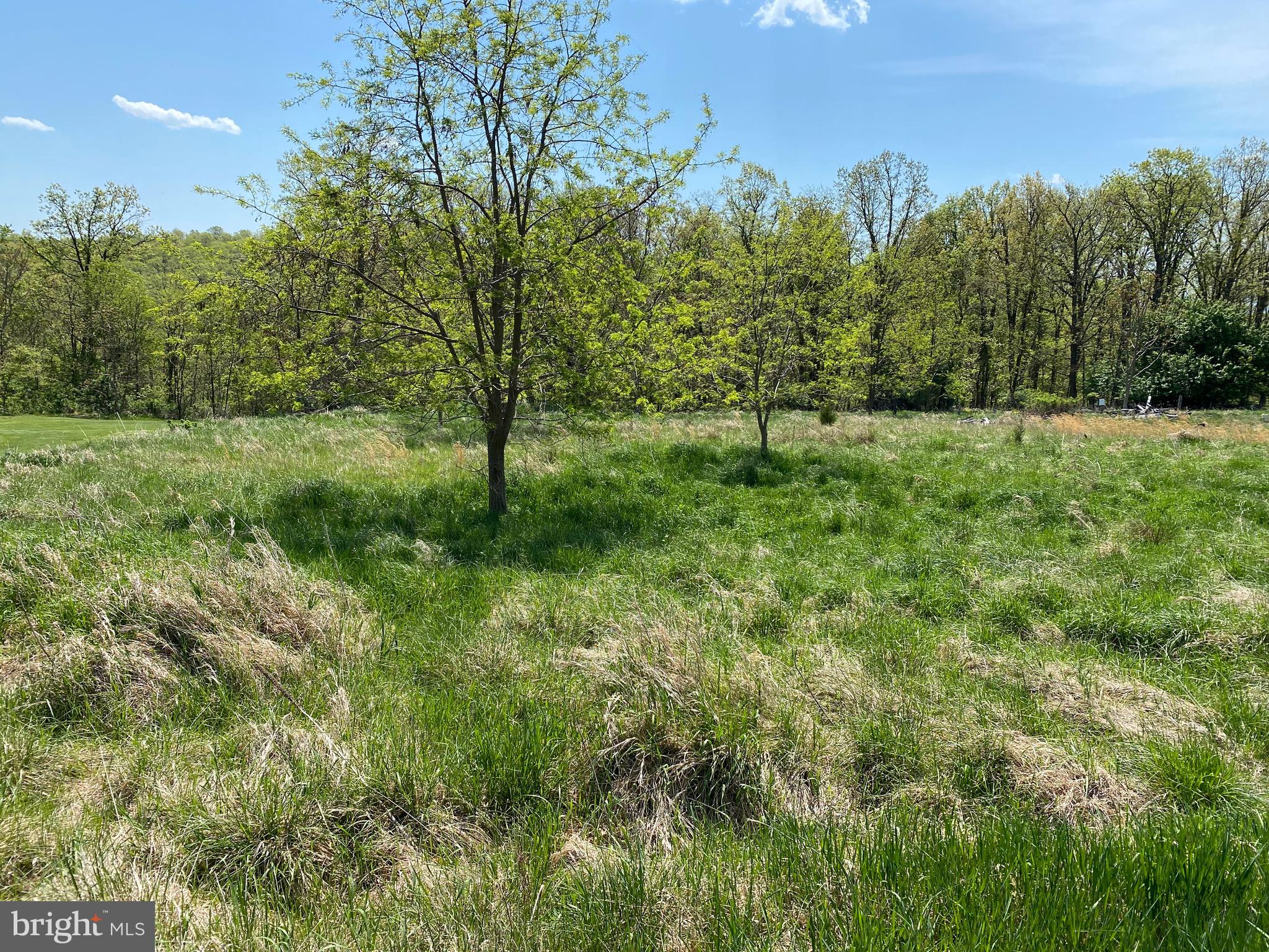 NONE AVAILABLE - Land