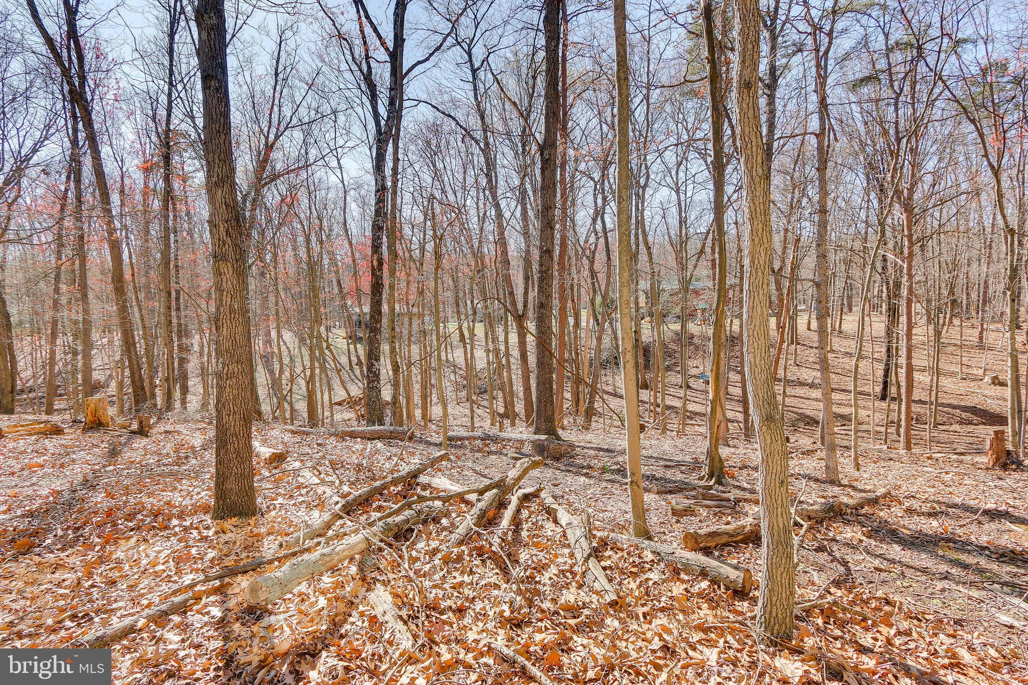 THE WOODS - Residential