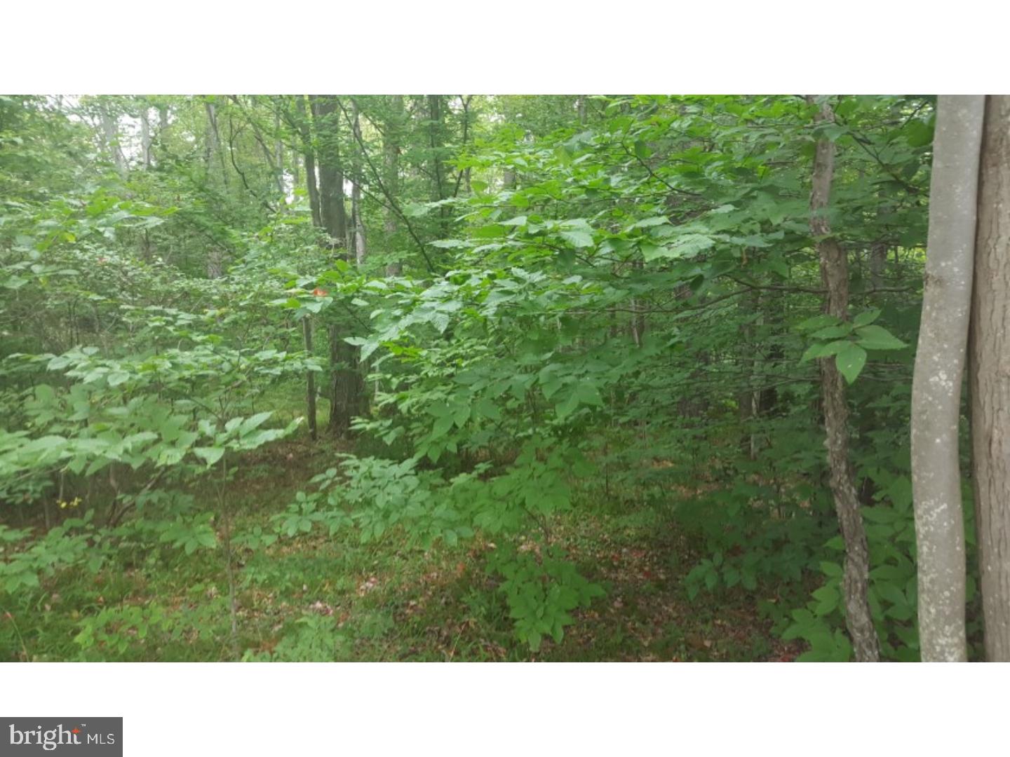 Z NOT IN A DEV - Land