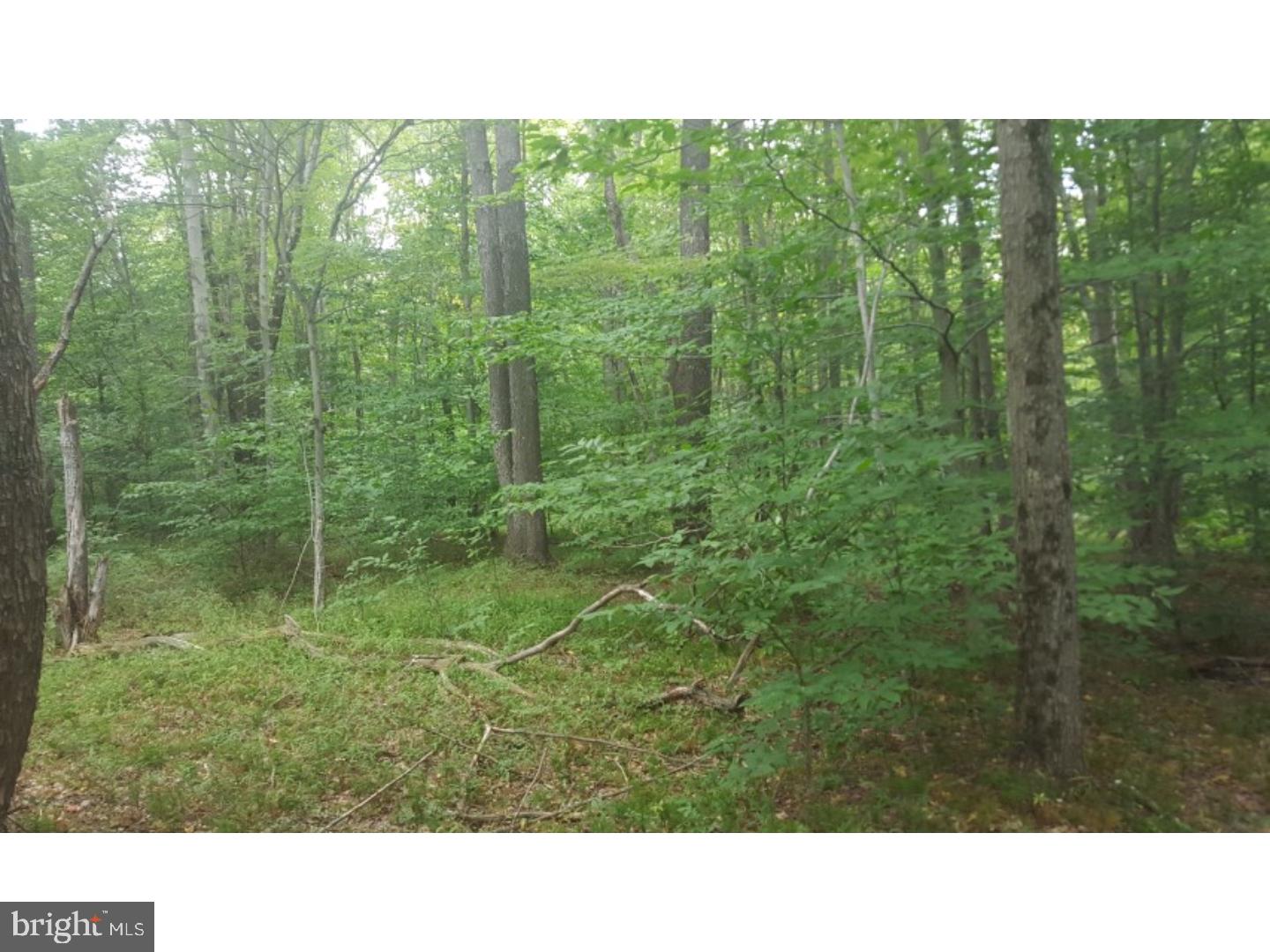 Z NOT IN A DEV - Land