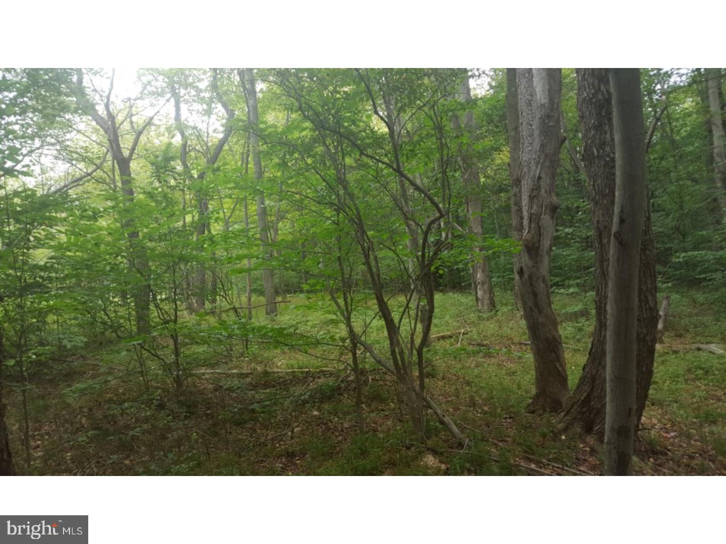 Z NOT IN A DEV - Land