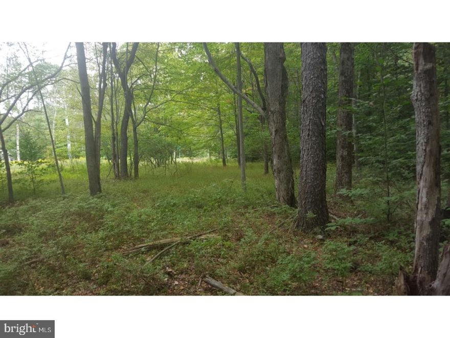 120 Acres 1.5 Acre Parcel (Tax ID: 03539600593742) on Locust Ridge Road. Lots of land to build your dream home in the beautiful Pocono Mountains.