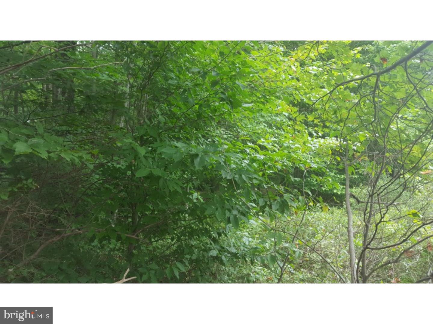 Z NOT IN A DEV - Land