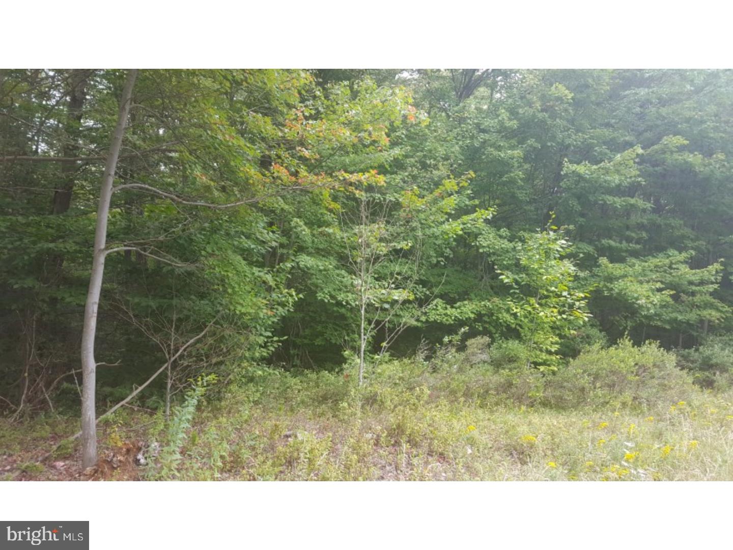 Z NOT IN A DEV - Land