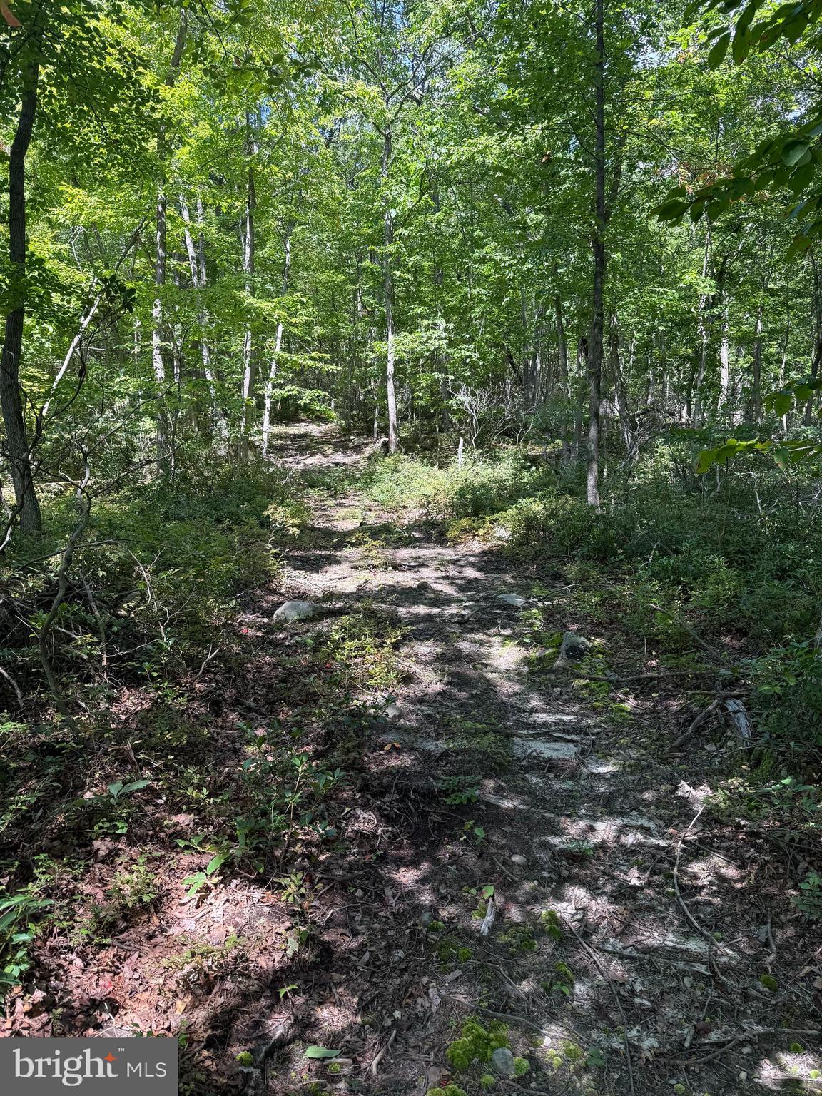 GREAT NORTH MOUNTAIN WILDERNESS - Land