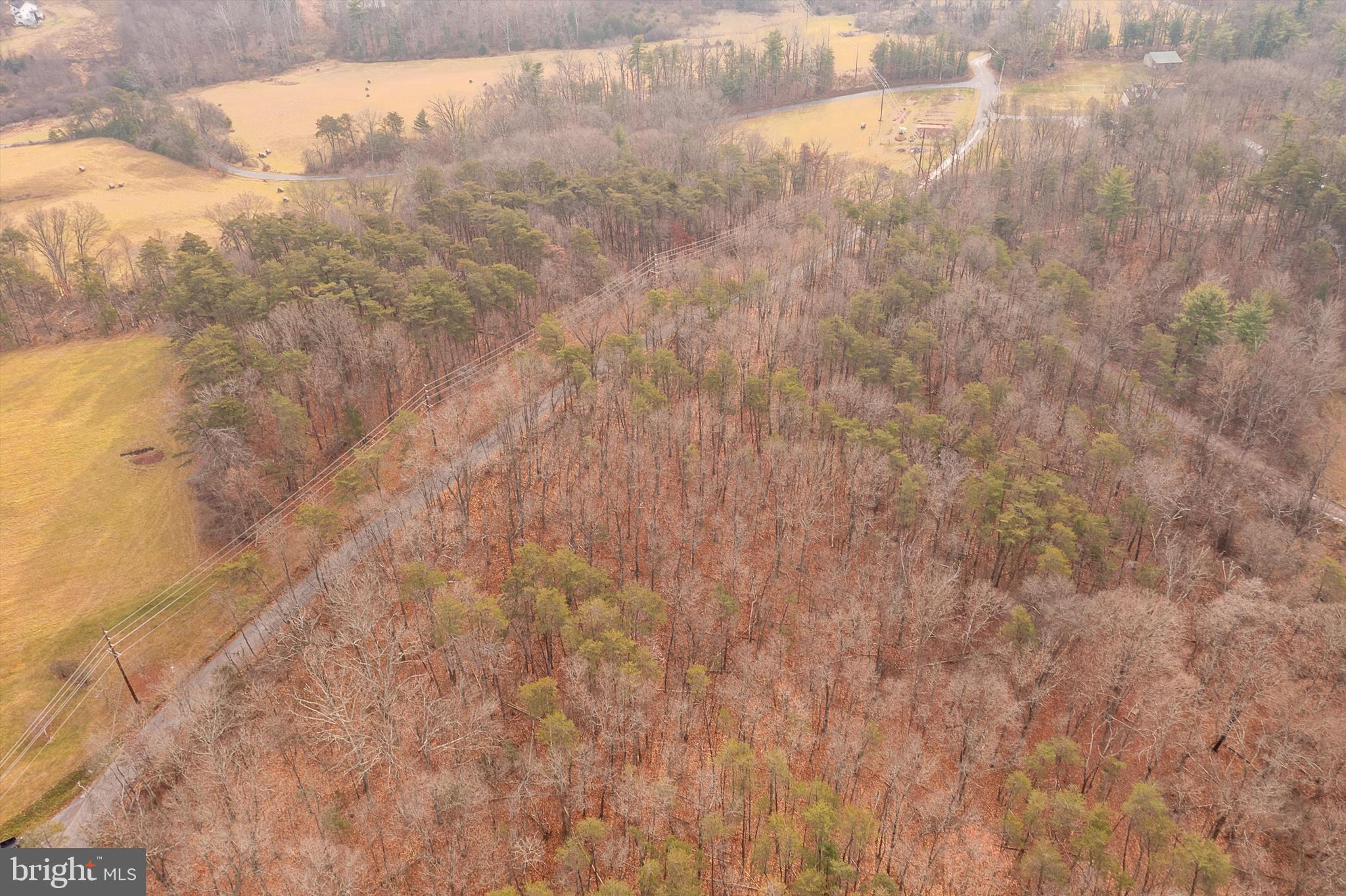 SPRUCE PINE HOLLOW - Land