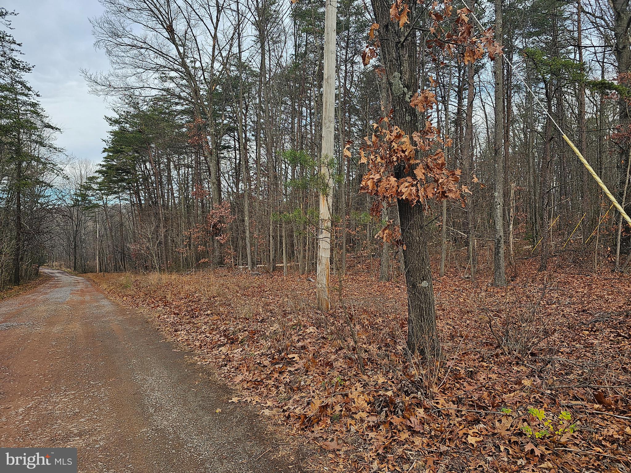 SPRUCE PINE HOLLOW - Land