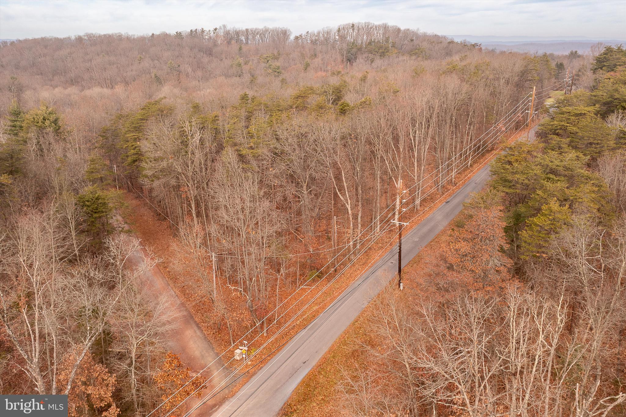 SPRUCE PINE HOLLOW - Land