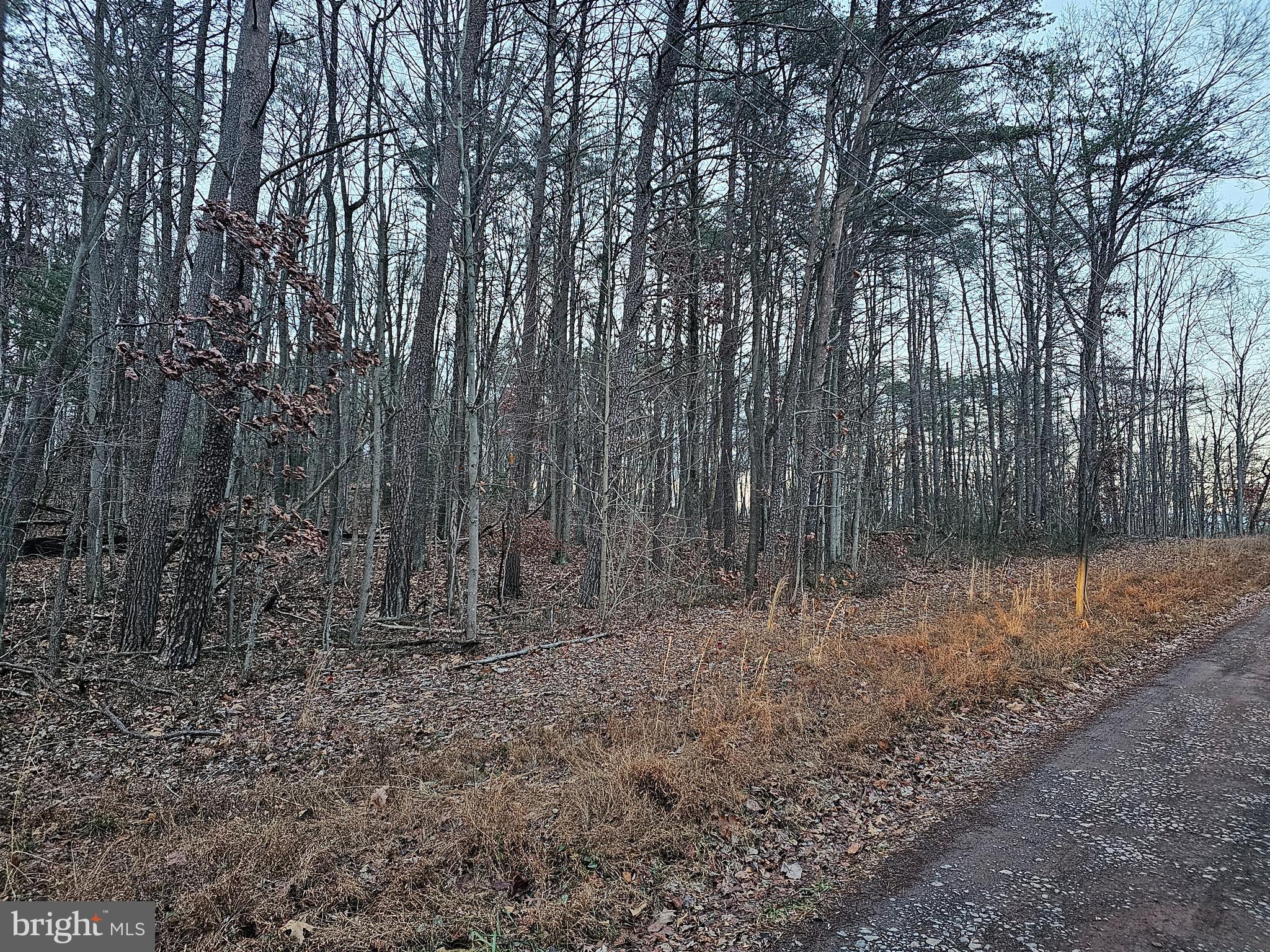 SPRUCE PINE HOLLOW - Land