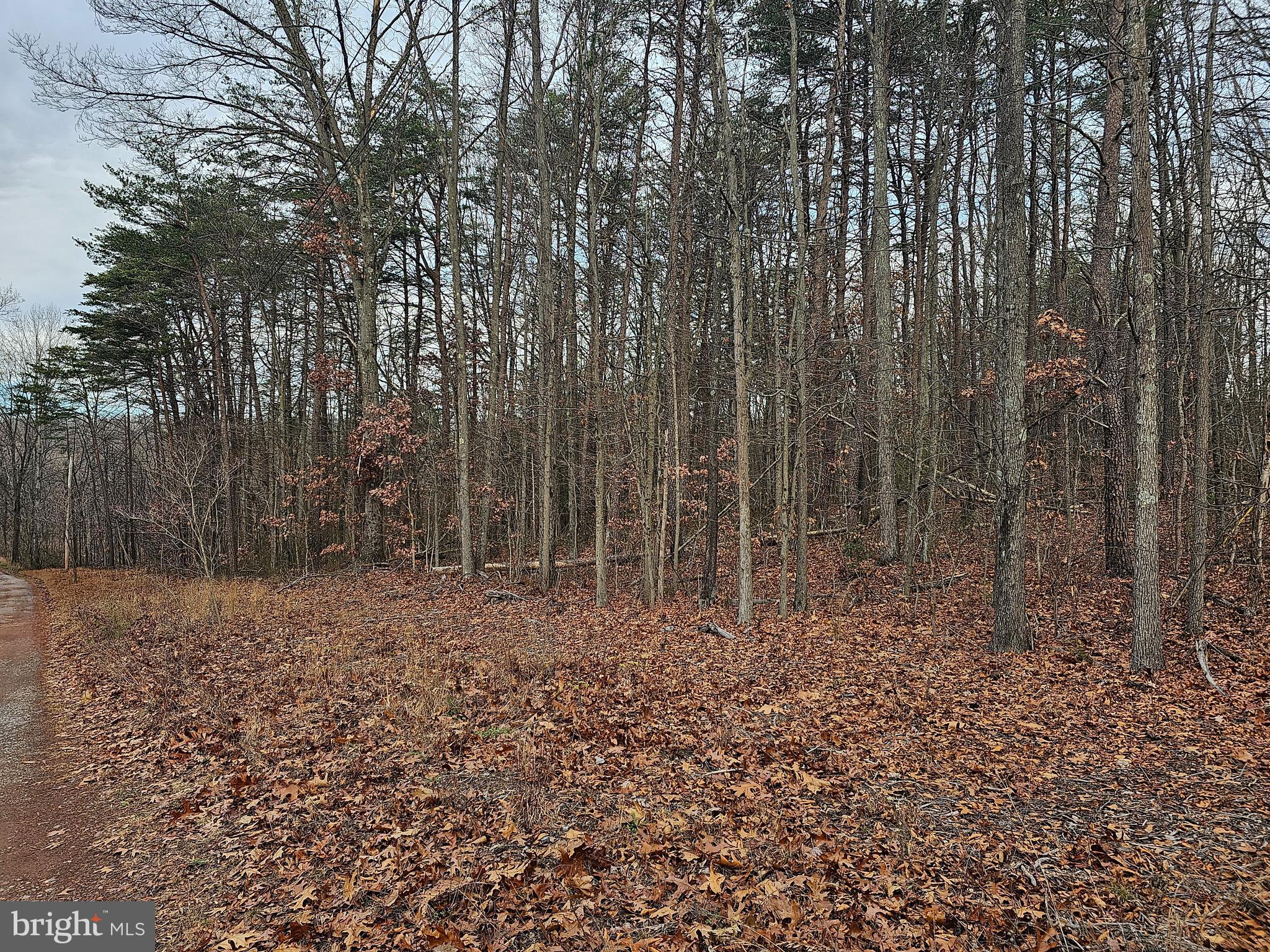 SPRUCE PINE HOLLOW - Land