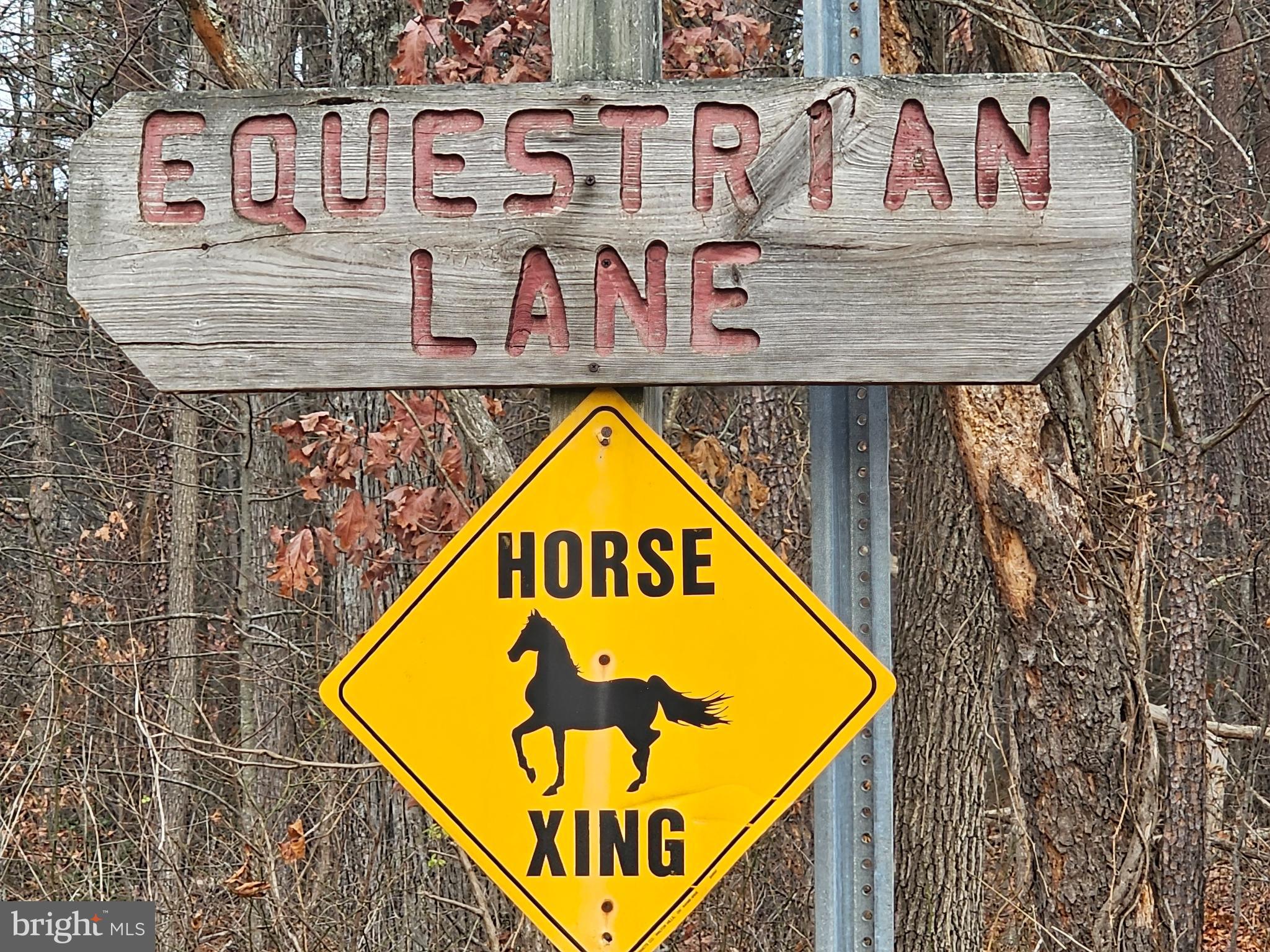 SPRUCE PINE HOLLOW - Land