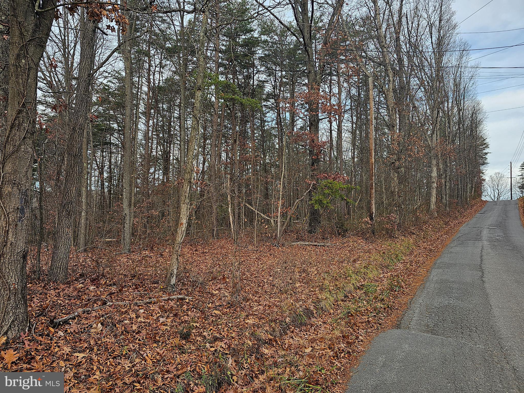 SPRUCE PINE HOLLOW - Land