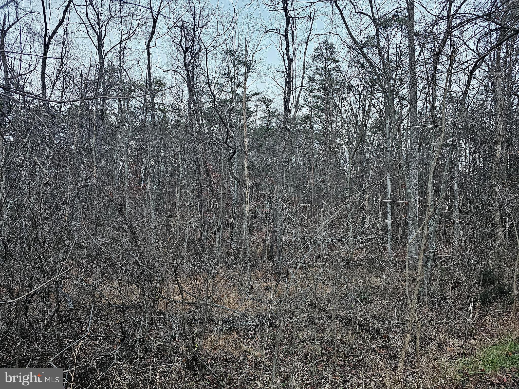 SPRUCE PINE HOLLOW - Land