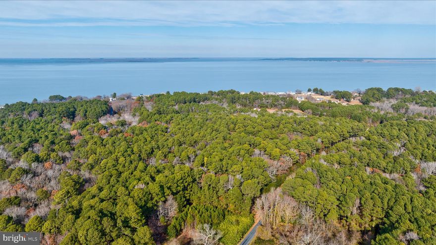 Welcome to your own private slice of the Eastern Shore. This 7.58-acre wooded parcel in Chance, Maryland offers the ideal blend of privacy, natural beauty, and coastal convenience. Located in a no-flood zone, this expansive property provides plenty of space for outdoor activities and adventures or simply enjoying the peaceful surroundings filled with wildlife and native trees.

Just minutes from the open waters of Tangier Sound and the Chesapeake Bay, you’ll have endless opportunities for fishing, crabbing, boating, and exploring the serene coastal landscape. The Deal Island Boat Ramp is also nearby, making water access quick and easy.

Whether you’re looking to build a getaway retreat, create a homestead, or invest in land near the coast, this tranquil acreage offers exceptional potential and a true Eastern Shore lifestyle.