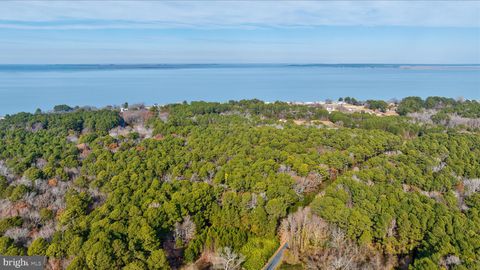 Vacant Land For Sale - Roland Parks<br/> CHANCE, MD 21821